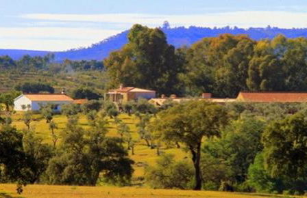 Couto dos Pardinhos - Foto 8