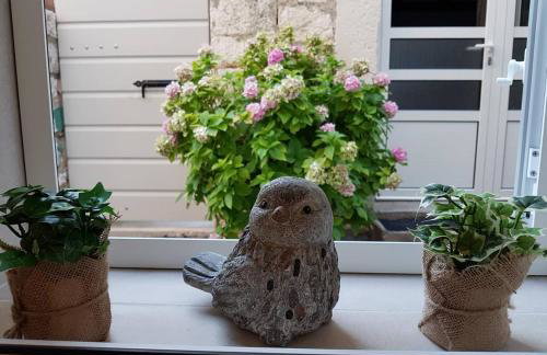 Apartments Nona 1 - Photo 74