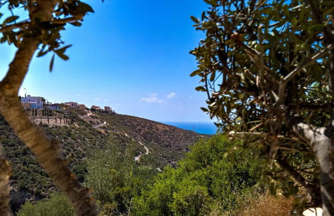 Apartment U2 - Zias in Kouklia - Foto 23