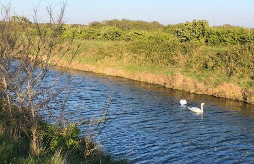 Les Fleurs De Lys, Villa Chic L'enclos Des Lys, Proche de la Mer - Foto 38
