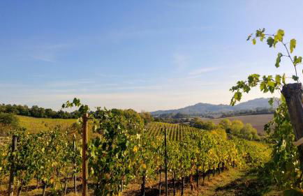 Agriturismo San Gregorio - Foto 70