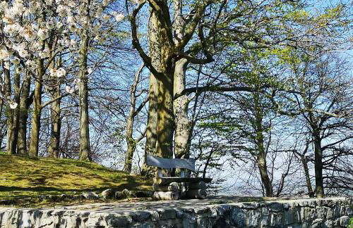 Ferienhaus Waltersdorf - Foto 15