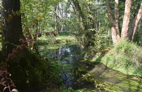 Agriturismo da Gastone - Foto 67