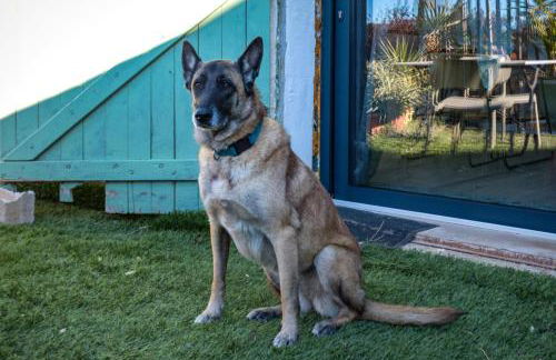 Chambre spa privé Arles campagne - Foto 23