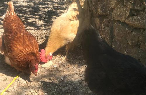 Charmante maison - Foto 45