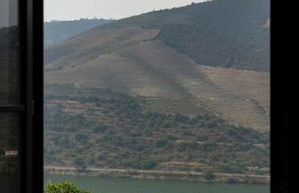 Quinta São Luiz The Vine House Douro - Foto 17