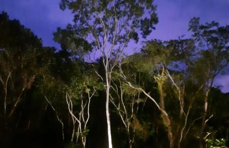 Paraíso no coração de Guaramiranga - Foto 32