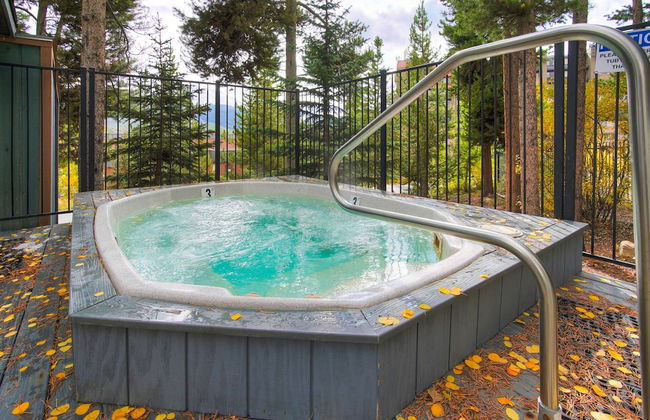 Los Pinos by Breckenridge Resort Managers - Foto 75