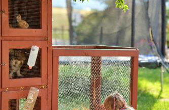 Agroturystyka Marianówek - Foto 21