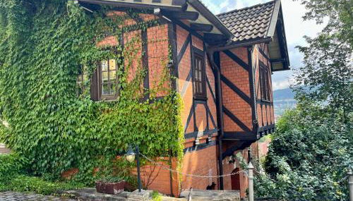 Ferienhaus Villa Frosch - Foto 3