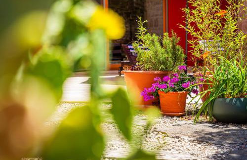 Villa Benka, Istrian stone house - Foto 49