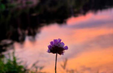 Przystanek Wieś - Foto 45