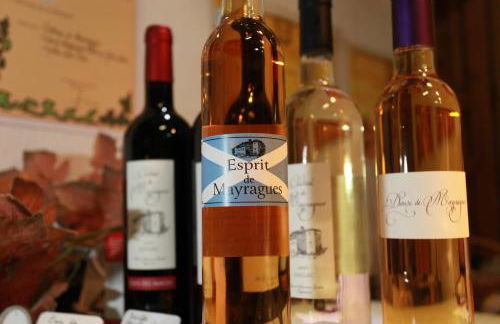 Château de Mayragues - Photo 22