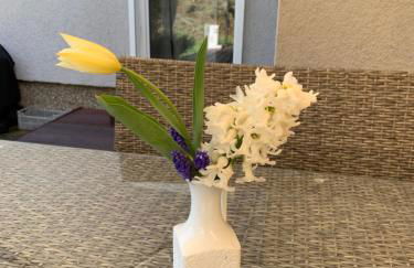 Ferienhaus Relax - Modernes Haus auf großem Grundstück im Grünen - Foto 56