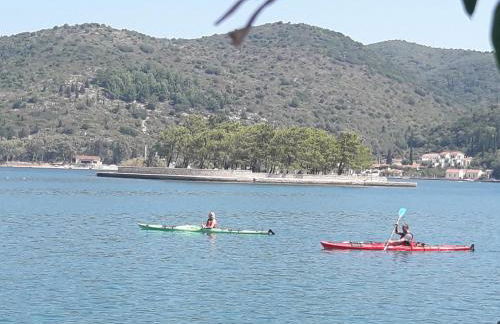 Korona Apartments - Foto 76