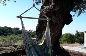 Herdade de Vale Maceiras - Foto 13