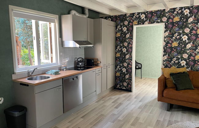 Holiday Home in Schoonloo With Balcony/terrace - Foto 43