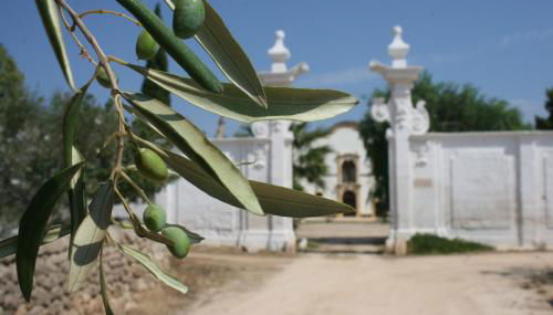 Masseria Maccarone - Photo 2