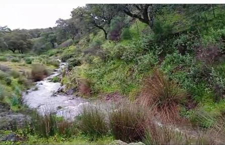 Finca San Jose, Sierra de Aracena y Picos de Aroche - Foto 21
