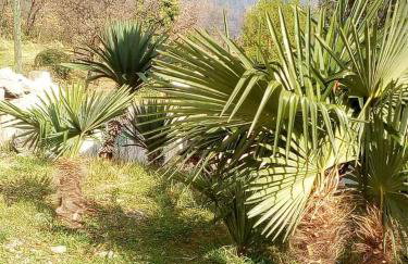 Apartman SÙŠANJ - Foto 48