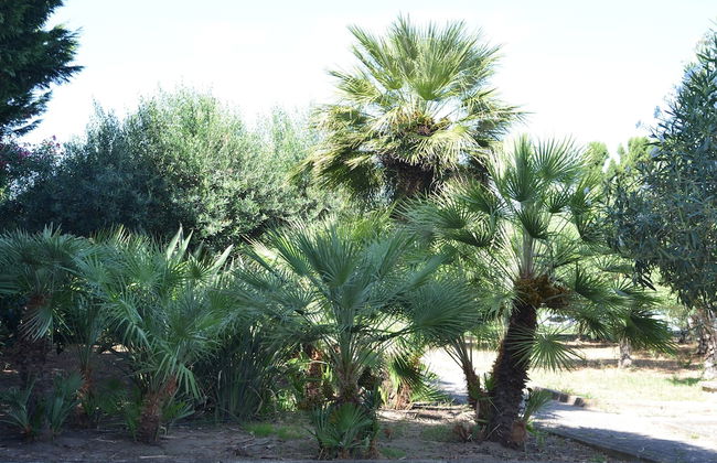 Villa Teti - Photo 74