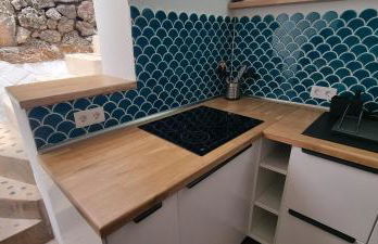 Lagarto Playas Majoreras - Photo 3