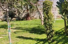 Maison Lido Silvana - Photo 78