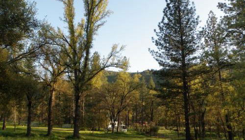 Little Red Caboose - Foto 4, Garden view