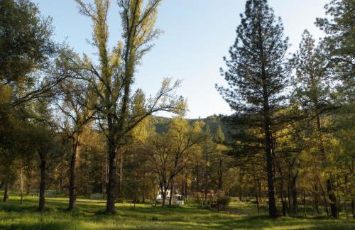 Little Red Caboose - Foto 4