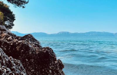 Studio Calma - Foto 31