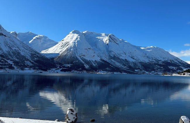 Vollsnes Gjestehus - Foto 50