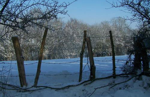 Manoir du Bois Joly - Gîte du Fournil - Foto 60