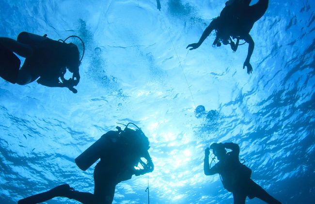 Bautismo de buceo en Los Cristianos - Foto 8