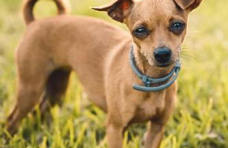 Quinta das Almas - Photo 22