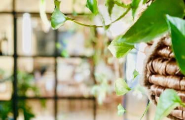 Casale Viridi - nel fresco delle colline Umbre - Foto 61