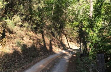 La Casita de Platero - Foto 13