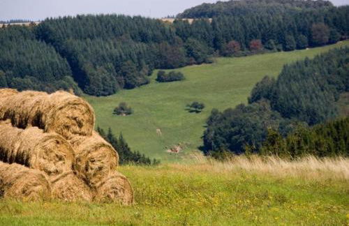 Villa Hochwald Familienhaus - Foto 26
