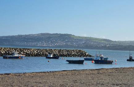 Seaview cottage North Wales - Foto 53