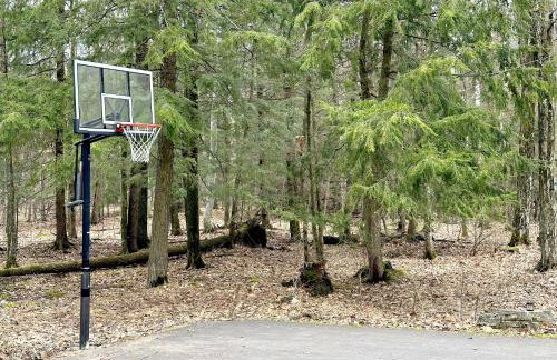 The Dreaming Tree - Photo 56