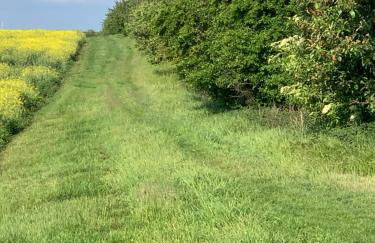 Kleines Ferienappartement in Erfurt-Schmira - Foto 17