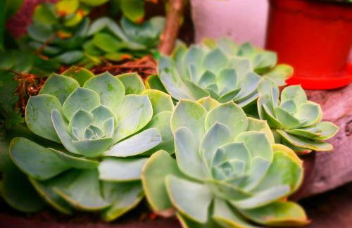 Anikuenea landa apartamentuak - Foto 28