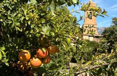 Lecrin Valley holiday home - Foto 36