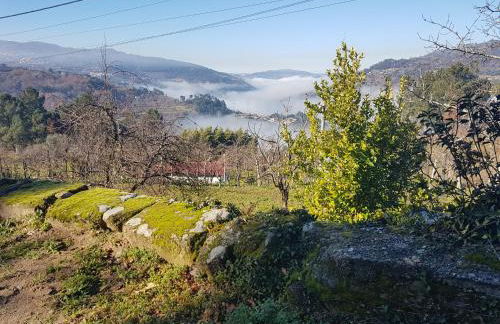 Casa de Campo - Cinfães do Douro - Foto 15