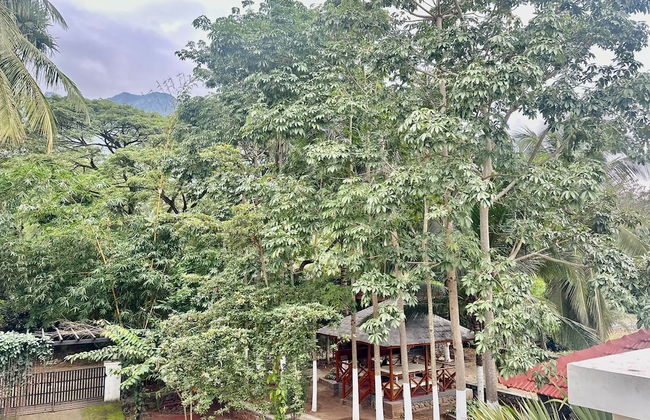 Bamboo Nest - Foto 22