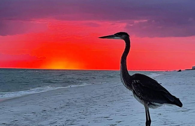 Gulf Coast Getaway 2 Bedroom Home by RedAwning - Foto 39