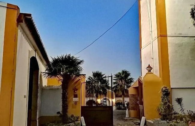 Herdade da Diabroria - Foto 65