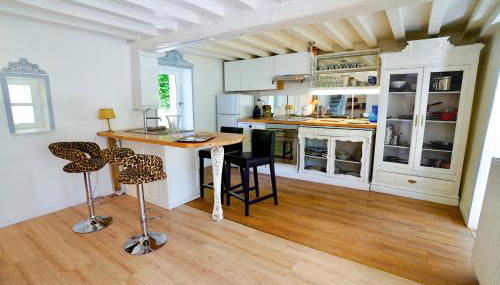 Maison charmante avec jacuzzi et cours d'eau - Foto 4, stove, toaster