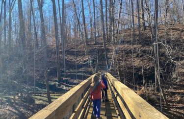 Modern City Loft Downtown Lynchburg VA LYH HUGE - Foto 61