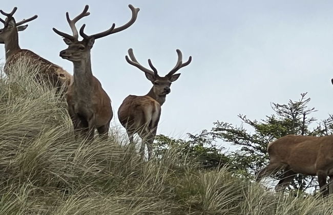 "Nashota" - 700m from the sea - Foto 2