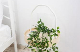 Dimitra's cosy studio in old town with backyard - Foto 41